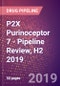 P2X Purinoceptor 7 (P2Z Receptor or P2RX7) - Pipeline Review, H2 2019 - Product Thumbnail Image