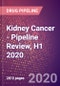 Kidney Cancer (Renal Cell Cancer) - Pipeline Review, H1 2020 - Product Thumbnail Image