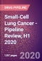 Small-Cell Lung Cancer - Pipeline Review, H1 2020 - Product Thumbnail Image