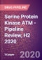 Serine Protein Kinase ATM - Pipeline Review, H2 2020 - Product Thumbnail Image