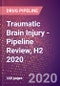 Traumatic Brain Injury - Pipeline Review, H2 2020 - Product Thumbnail Image
