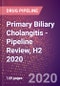 Primary Biliary Cholangitis (Primary Biliary Cirrhosis) - Pipeline Review, H2 2020 - Product Thumbnail Image