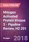 Mitogen Activated Protein Kinase 3 (ERT2 or Insulin Stimulated MAP2 Kinase or Extracellular Signal Regulated Kinase 1 or MAP Kinase Isoform p44 or Microtubule Associated Protein 2 Kinase or p44 ERK1 or MAPK3 or EC 2.7.11.24) - Pipeline Review, H2 201 - Product Thumbnail Image