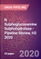 N Sulphoglucosamine Sulphohydrolase - Pipeline Review, H2 2020 - Product Thumbnail Image