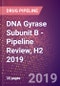 DNA Gyrase Subunit B (EC 5.99.1.3) - Pipeline Review, H2 2019 - Product Thumbnail Image