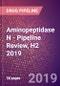 Aminopeptidase N - Pipeline Review, H2 2019 - Product Thumbnail Image