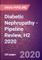 Diabetic Nephropathy - Pipeline Review, H2 2020 - Product Thumbnail Image