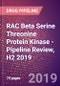 RAC Beta Serine Threonine Protein Kinase - Pipeline Review, H2 2019 - Product Thumbnail Image