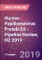 Human Papillomavirus Protein E6 (E6) - Pipeline Review, H2 2019 - Product Thumbnail Image