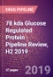 78 kda Glucose Regulated Protein - Pipeline Review, H2 2019 - Product Thumbnail Image