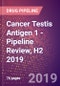Cancer Testis Antigen 1 - Pipeline Review, H2 2019 - Product Thumbnail Image