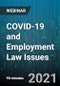 COVID-19 and Employment Law Issues - Webinar - Product Thumbnail Image