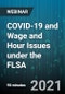 COVID-19 and Wage and Hour Issues under the FLSA - Webinar - Product Image