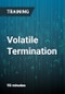 Volatile Termination: Be Prepared to Handle Terminations with Employees who are Aggressive, Own Weapons, and Have Other Issues you are Not Aware they have - Product Thumbnail Image