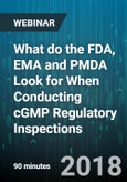 What do the FDA, EMA and PMDA Look for When Conducting cGMP Regulatory Inspections - Webinar (Recorded)- Product Image