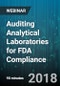 Auditing Analytical Laboratories for FDA Compliance - Webinar (Recorded) - Product Thumbnail Image