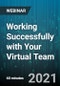 Working Successfully with Your Virtual Team - Webinar - Product Image