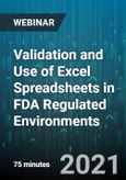 Validation and Use of Excel Spreadsheets in FDA Regulated Environments - Webinar (Recorded)- Product Image