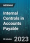 Internal Controls in Accounts Payable - Webinar - Product Image