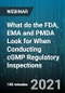 3-Hour Virtual Seminar on What do the FDA, EMA and PMDA Look for When Conducting cGMP Regulatory Inspections - Webinar (Recorded) - Product Thumbnail Image
