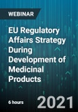 6-Hour Virtual Seminar on EU Regulatory Affairs Strategy During Development of Medicinal Products - Webinar (Recorded)- Product Image