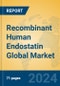 Recombinant Human Endostatin Global Market Insights 2024, Analysis and Forecast to 2029, by Manufacturers, Regions, Technology, Application - Product Thumbnail Image