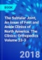 The Subtalar Joint, An issue of Foot and Ankle Clinics of North America. The Clinics: Orthopedics Volume 23-3 - Product Thumbnail Image