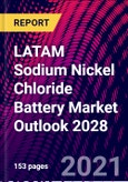 LATAM Sodium Nickel Chloride Battery Market Outlook 2028- Product Image