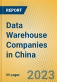 Data Warehouse Companies in China- Product Image