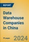 Data Warehouse Companies in China - Product Thumbnail Image