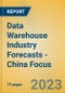 Data Warehouse Industry Forecasts - China Focus - Product Image
