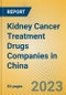 Kidney Cancer Treatment Drugs Companies in China - Product Image