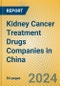 Kidney Cancer Treatment Drugs Companies in China - Product Thumbnail Image