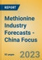 Methionine Industry Forecasts - China Focus - Product Image