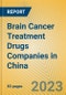 Brain Cancer Treatment Drugs Companies in China - Product Image