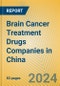 Brain Cancer Treatment Drugs Companies in China - Product Image