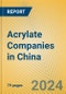 Acrylate Companies in China - Product Thumbnail Image