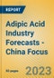 Adipic Acid Industry Forecasts - China Focus - Product Image