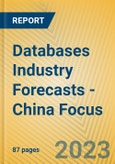 Databases Industry Forecasts - China Focus- Product Image