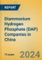 Diammonium Hydrogen Phosphate (DAP) Companies in China - Product Image