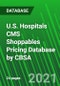 U.S. Hospitals CMS Shoppables Pricing Database by CBSA - Product Thumbnail Image