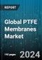 Global PTFE Membranes Market by Type (Expanded PTFE, Porous PTFE), Membrane Type (Hydrophilic Membranes, Hydrophobic Membranes), Application - Forecast 2024-2030 - Product Image
