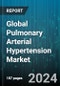 Global Pulmonary Arterial Hypertension Market by Drug Class (Calcium Channel Blocker, Endothelin Receptor Antagonists, Phosphodiesterase 5), Distribution (Hospital Pharmacy, Online Pharmacy, Retail Pharmacy) - Forecast 2024-2030 - Product Image