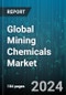 Global Mining Chemicals Market by Type (Collectors, Flocculants, Frothers), Application (Explosives & Drilling, Mineral Processing, Water & Wastewater Treatment) - Forecast 2024-2030 - Product Image