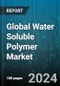 Global Water Soluble Polymer Market by Type (Natural, Synthetic), Application (Agriculture, Chemical, Construction) - Forecast 2024-2030 - Product Image