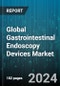 Global Gastrointestinal Endoscopy Devices Market by Product (Biopsy Devices, Capsule Endoscopy, ECRP Devices), End User (Clinics, Hospitals) - Forecast 2024-2030 - Product Image