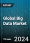 Global Big Data Market by Component (Services, Software), Type (Structured Data, Unstructured Data), Depoyment, Vertical - Forecast 2024-2030 - Product Image