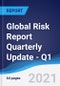 Global Risk Report Quarterly Update - Q1 2021 - Product Image