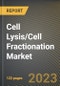 Cell Lysis/Cell Fractionation Market Research Report by Product (Consumables and Instruments), Cell Type, Application, End-user, State - United States Forecast to 2027 - Cumulative Impact of COVID-19 - Product Thumbnail Image