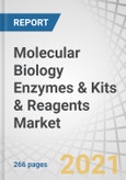 Molecular Biology Enzymes & Kits & Reagents Market by Product (Kit, Reagent, Enzyme), Application (PCR, Sequencing, Epigenetic, Synthetic Biology), End user (Research Institutes, Pharma & Biotech Company, Hospitals) and Region - Global Forecast to 2026- Product Image